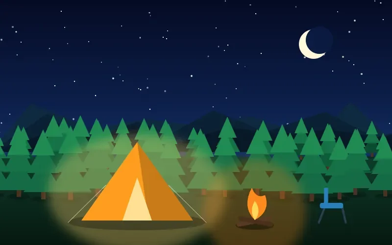 A campfire in the forest at night
